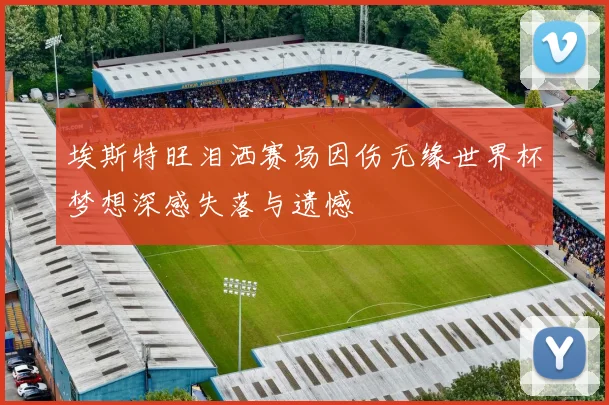 埃斯特旺泪洒赛场因伤无缘世界杯梦想深感失落与遗憾