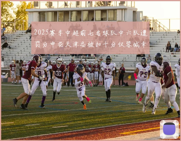 2025赛季中超前七名球队中六队遭罚分申花天津各被扣十分仅蓉城幸免